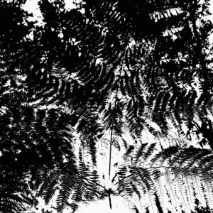 Photographie Collection A Linea #15 | 40x50 cm