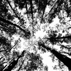 Photographie Collection A Linea #16 | 40x50 cm