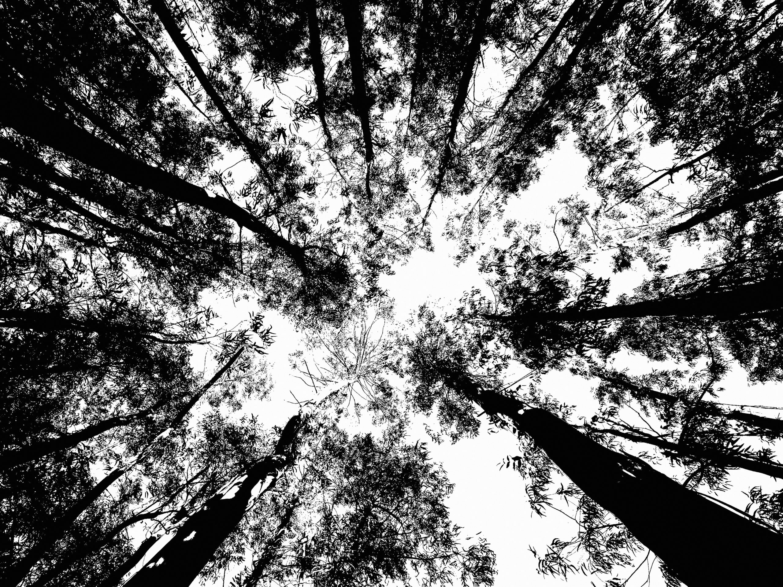 Photographie Collection A Linea #16 | 40x50 cm