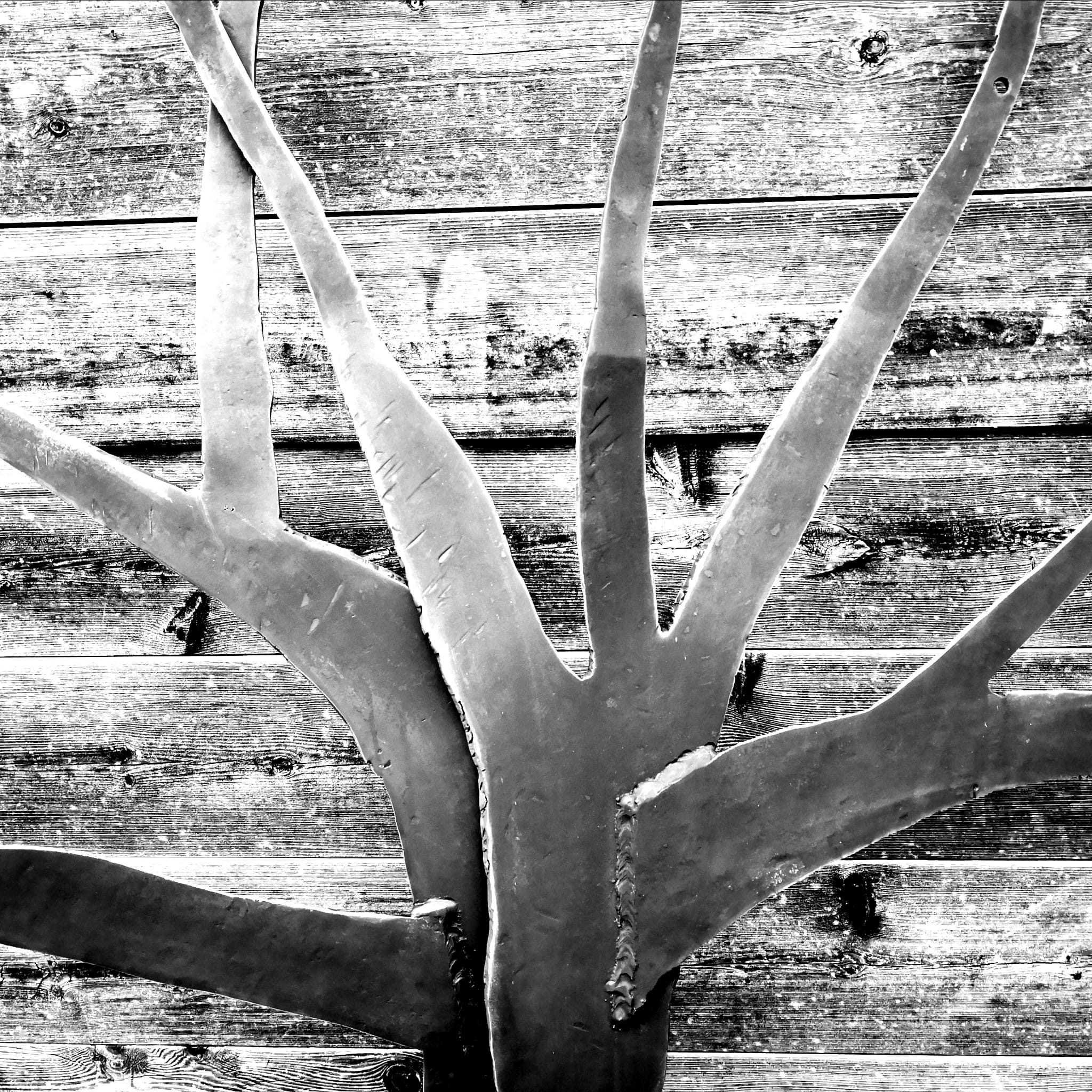 Photographie Collection A Linea #18 | 40x40 cm