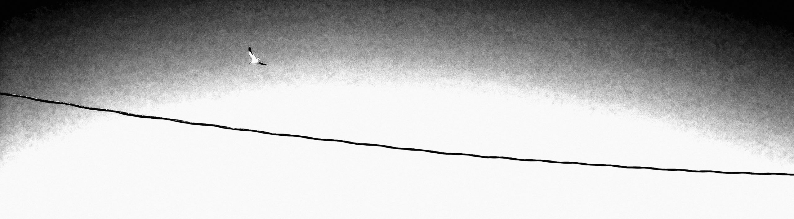 Photographie Collection A Linea #2 | 40x10.5 cm