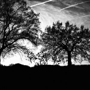 Photographie Collection A Linea #23 | 40x50 cm