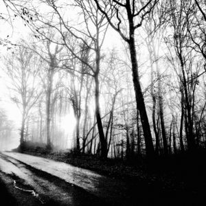 Photographie Collection A Linea #24 | 40x50 cm