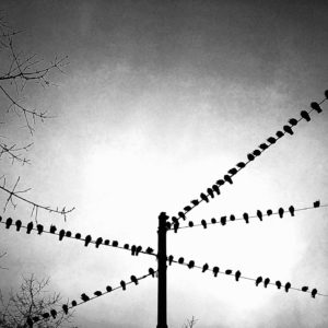 Photographie Collection A Linea #5 | 70x40 cm