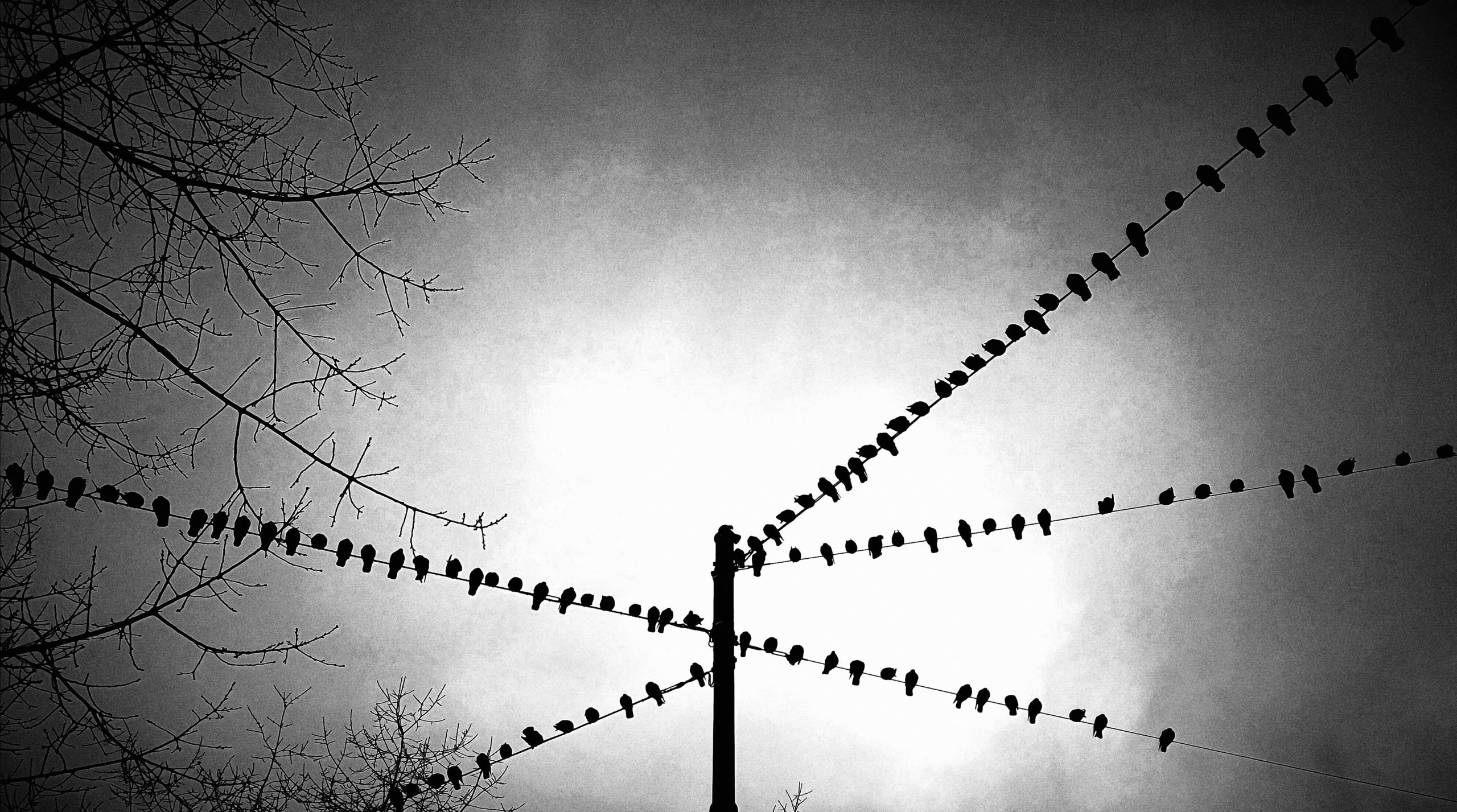 Photographie Collection A Linea #5 | 70x40 cm