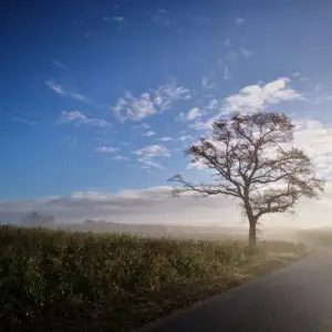 Photographie Collection A Linea #22 color | 40x40 cm